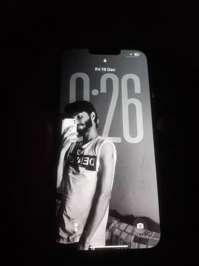 Iphone 13 pro max panel