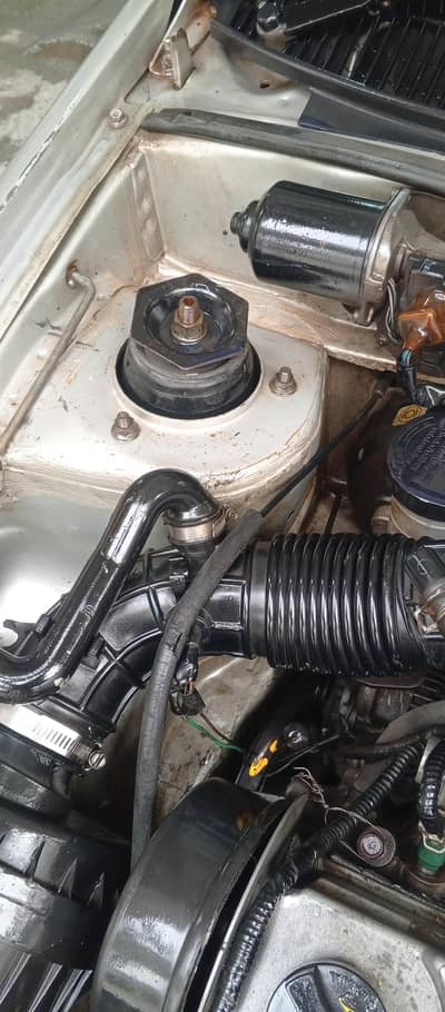 2009 model family used