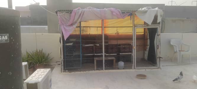 Wooden Jaal and Iron Cage for sale