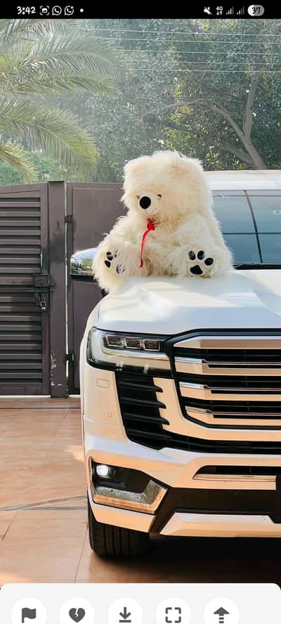 I m a Driver i need Driveing job