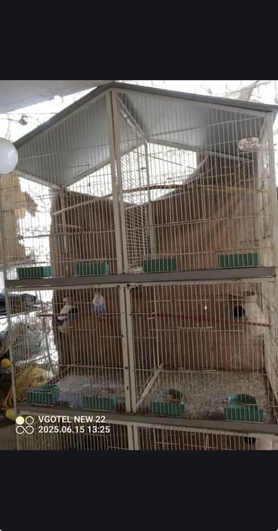 8 portion cage and 1 pair Love birds and 2 pairs budgies