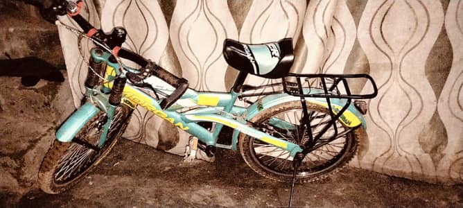 Morgan buy cycle 10/12 years old k Lea best hy