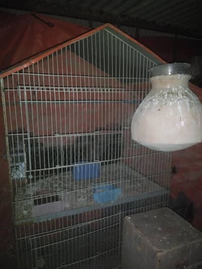 Cages for sale