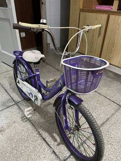 Phoenix cycle japani