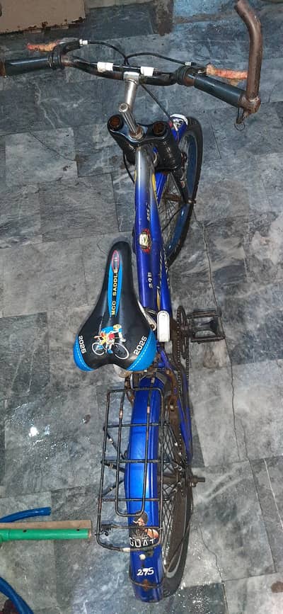 Flying Horse 20 Inch Original Flying Horse Cycle