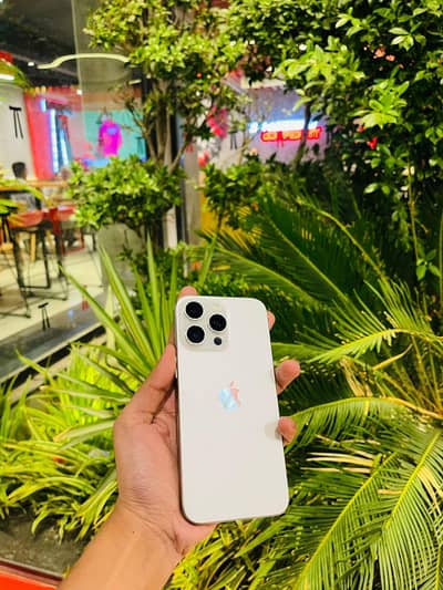 15 pro max 10 by 10 condition 256 jv