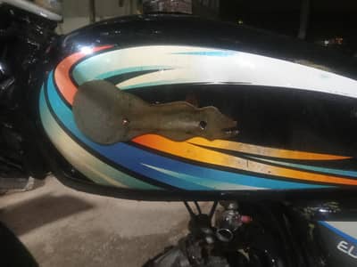 dhoom bike saf sutri nut to nut original shiny genuine condition