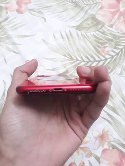 iPhone 11 jv 64gb red color