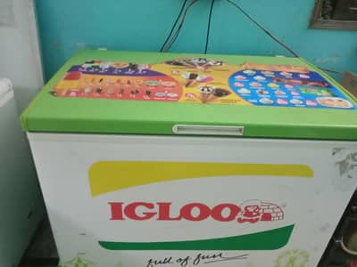 igloo frizer