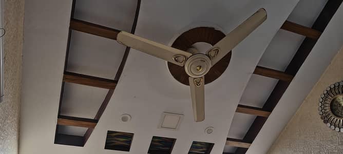 PAK FAN CEILING copper