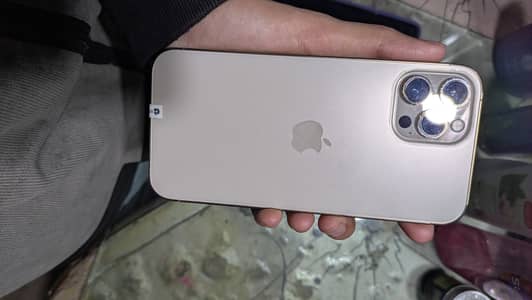 Iphone 12 pro max Gold colour