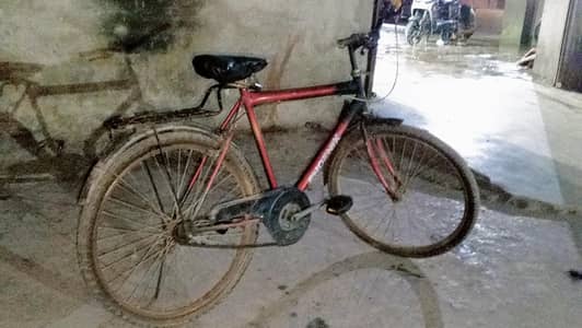 Cycle for Sale