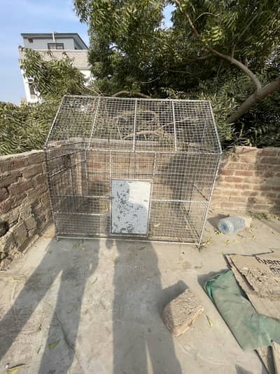 Birds cage