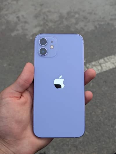 iphone 12 pta approved