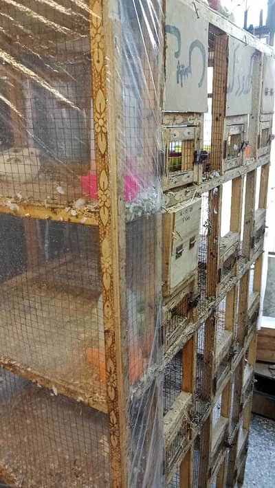 wooden cage with box