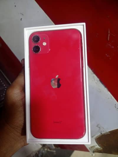 iPhone 11 PTA approved