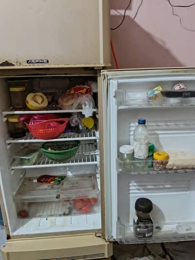 PEL FRIDGE  compressor problem