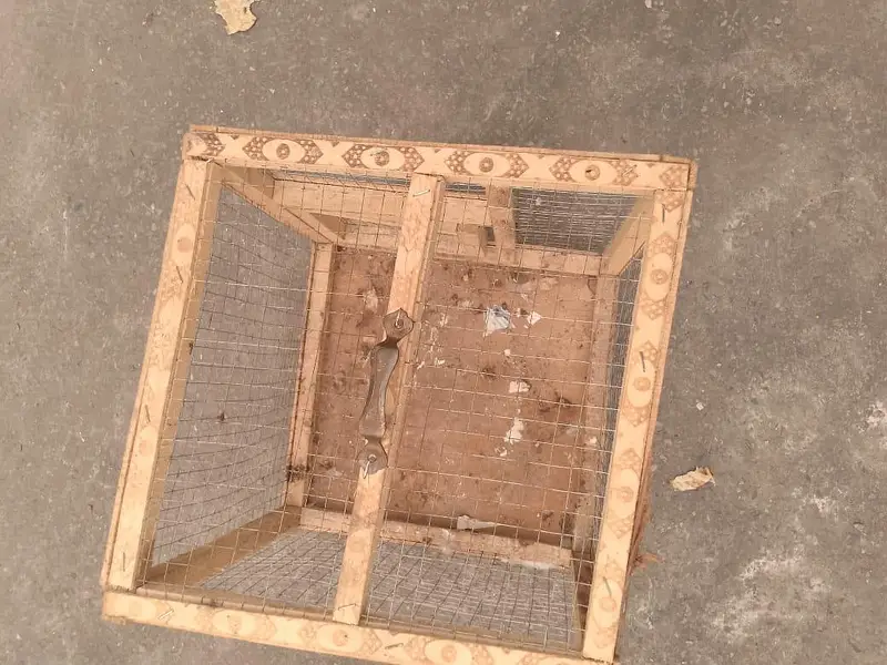 hen cage  good condition new  look — photo 2
