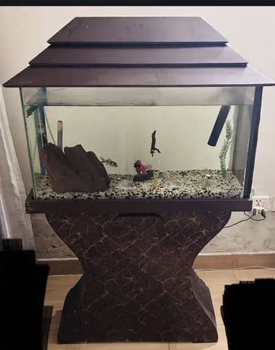 Aquarium For Sale