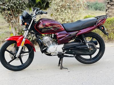 Yb DX 2020 03205850420 Wtsup Call