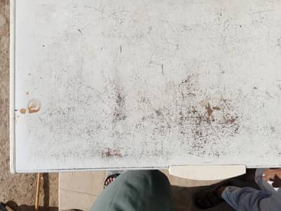 only freezer best for ice cream shops