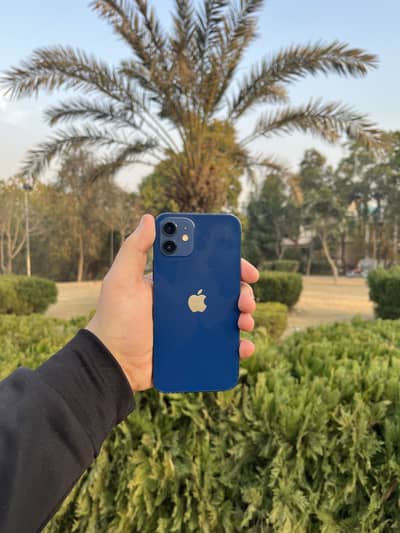 Iphone 12 64gb factory unlocked