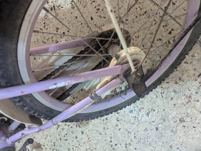 branded cycle strom baby 20 size