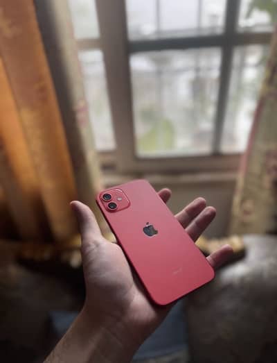 iPhone 12 PTA approved