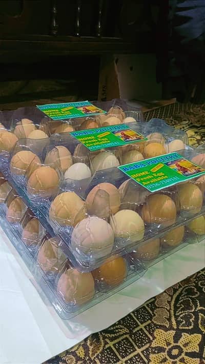 Desi eggs Ghar ki Hens ka organic fresh eggs available. . . 03367349141