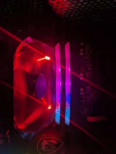 PNY-XLRB 16GB(8x2) 3200Mhz, DDR4, RGB RAMS