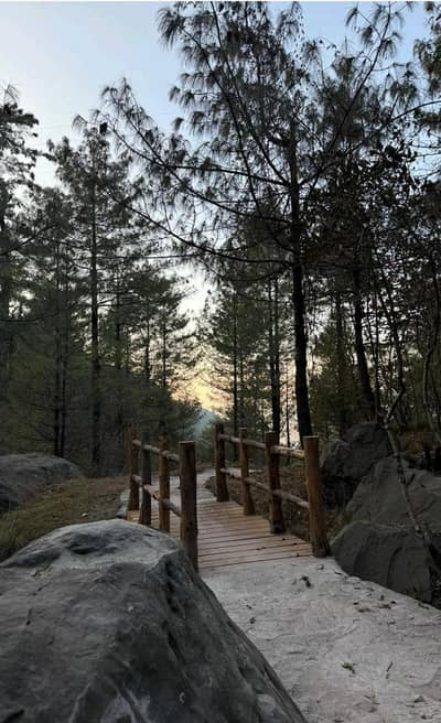 Need to hire Health care