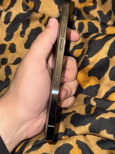 Iphone 14 pro max 256gb pta approved