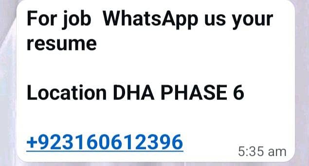 Need web developer 1