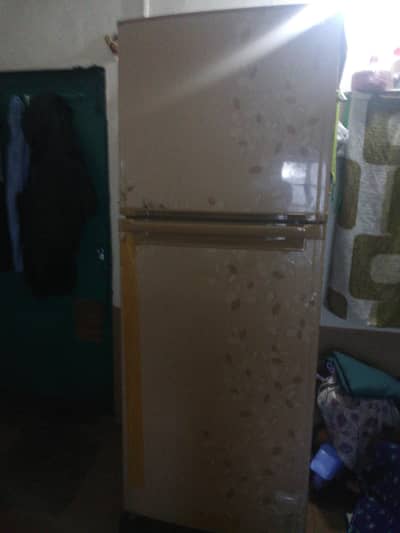 orient full size freeg