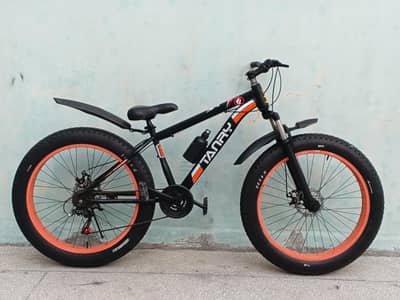 Tanay Imported Bicycle Fat Tyres