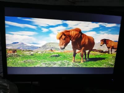 HP 19 inch Branded LED MONITOR WORKING GOOD 03122810637