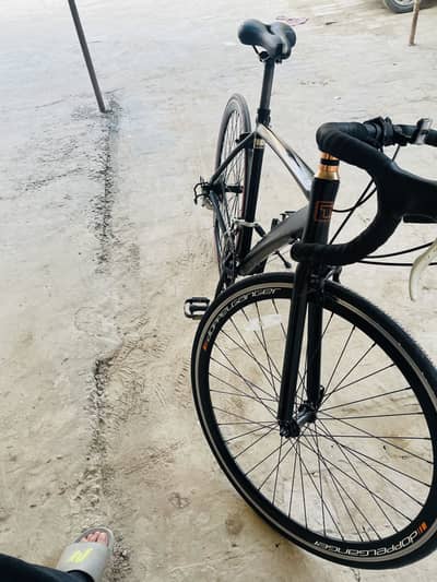 Doppel ganger d33 toxique