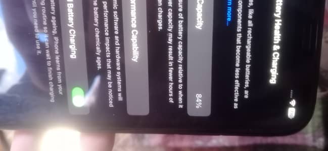 only serious buyer rapta krain ,