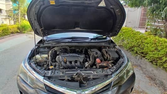 Corolla Gli Manual 2019