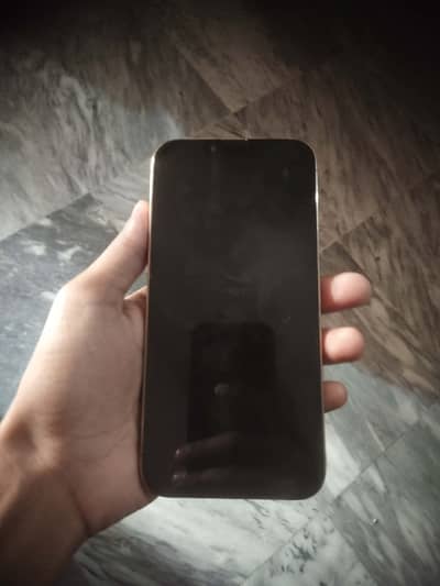 iPhone 13 pro max non pta jv