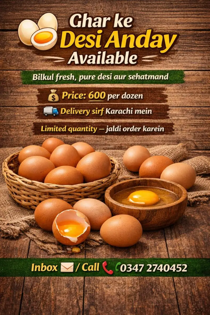lohman brown hens