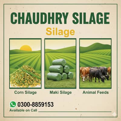 silage/corn silage/maki silage/animal feed