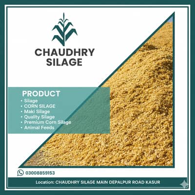silage/corn silage/maki silage/animal feed