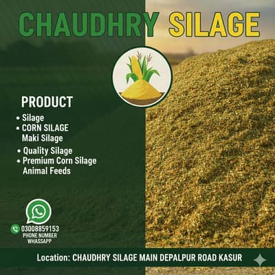silage, corn silage, silage delivery all pakistan