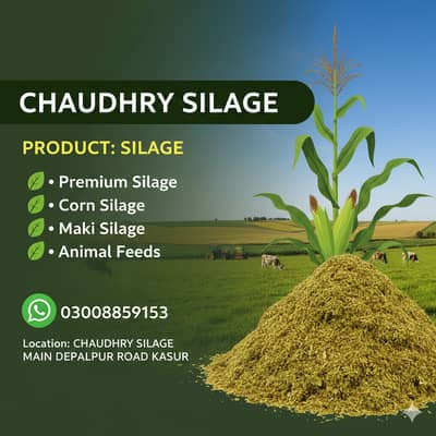 silage/corn silage/maki silage/animal feed