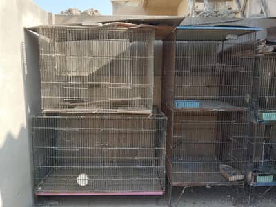 cages for sale