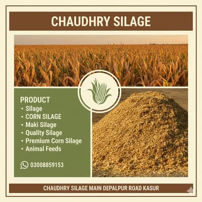 silage corn silage maki silage