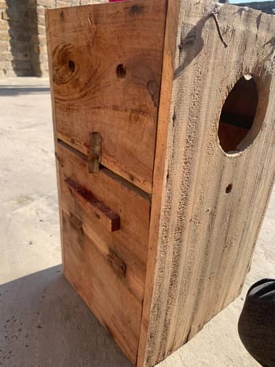 box for birda for sale