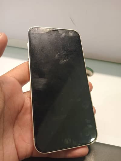 iPhone 12 Pro Max 128GB PTA Approved