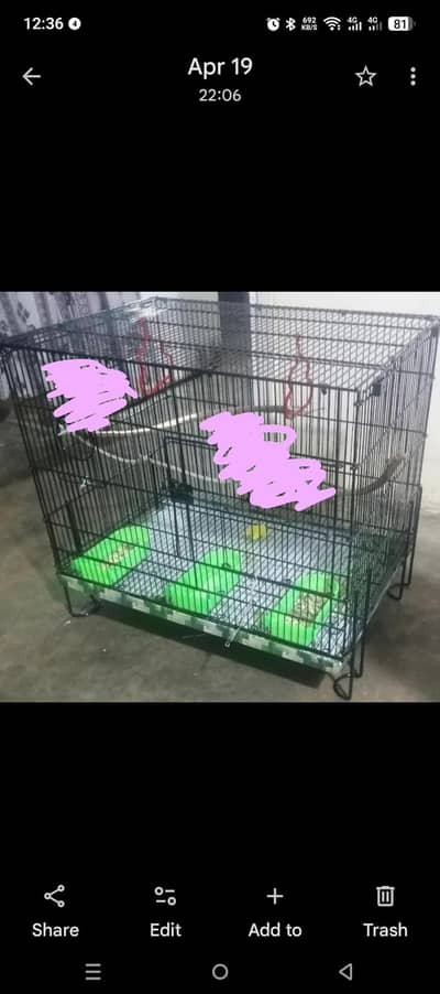 Parrot cage